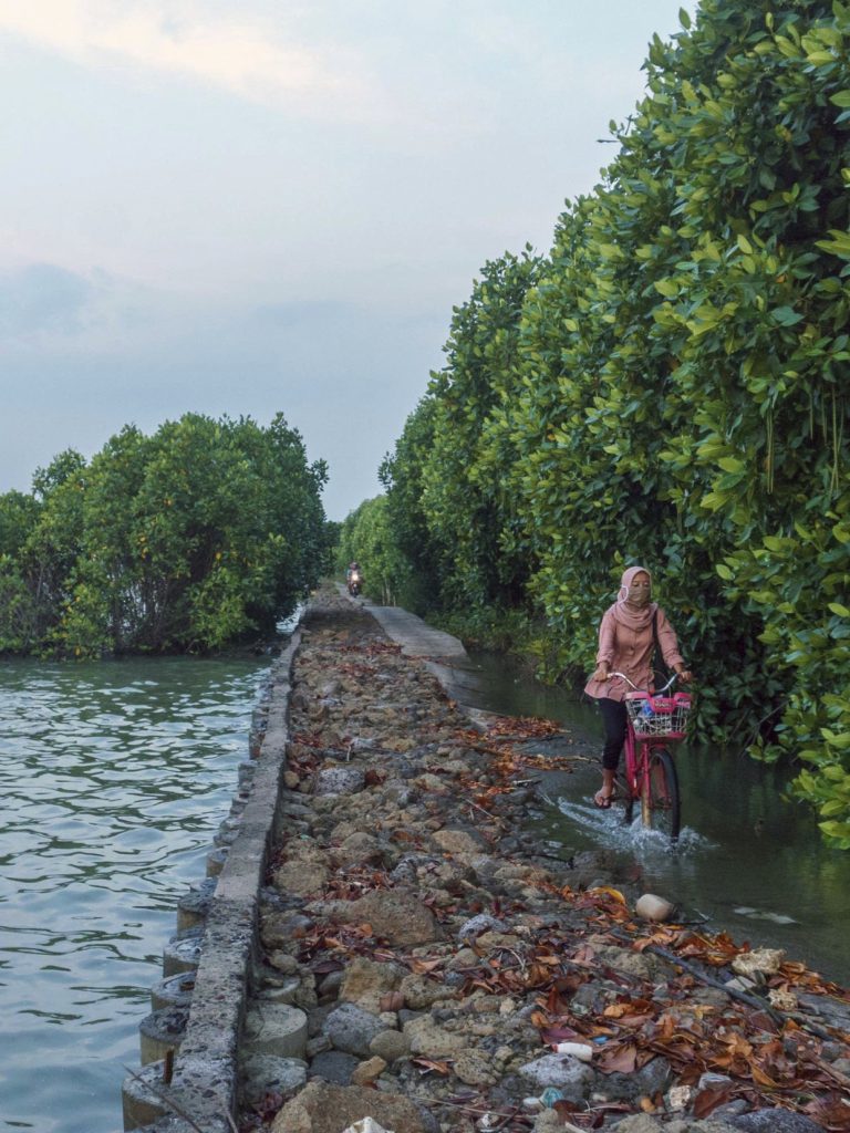 Climate Resilient and Inclusive Cities