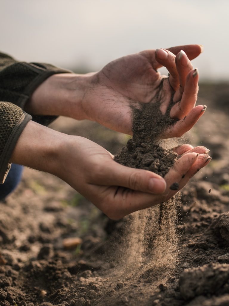 Awakening Soil Curiosity to Catalyse Soil Literacy