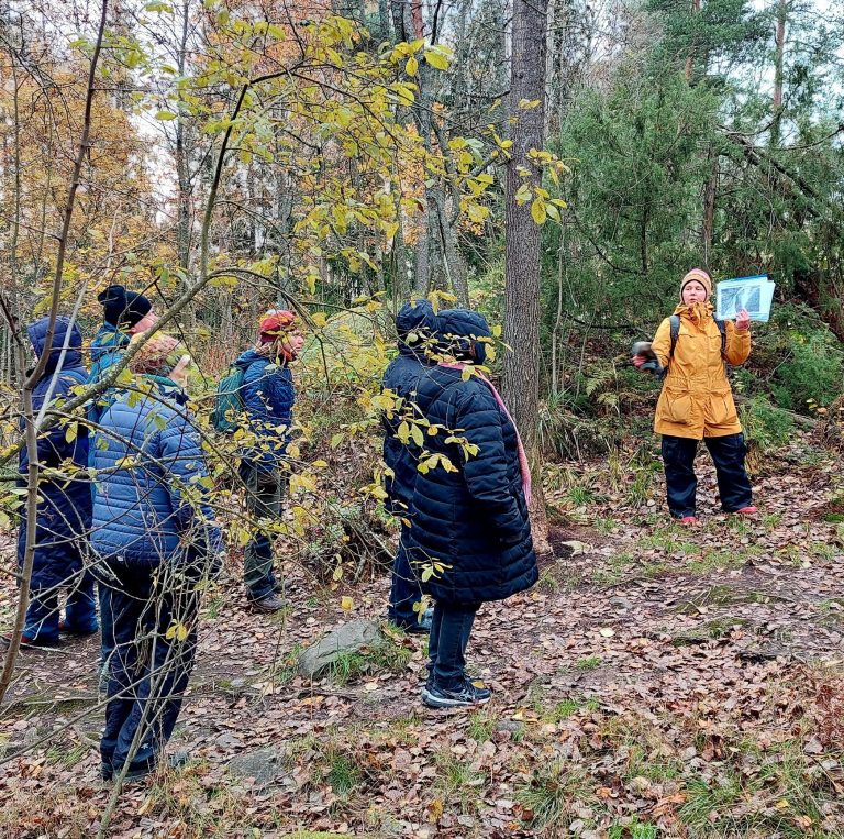 Transformative Adult Learning for Green Transition