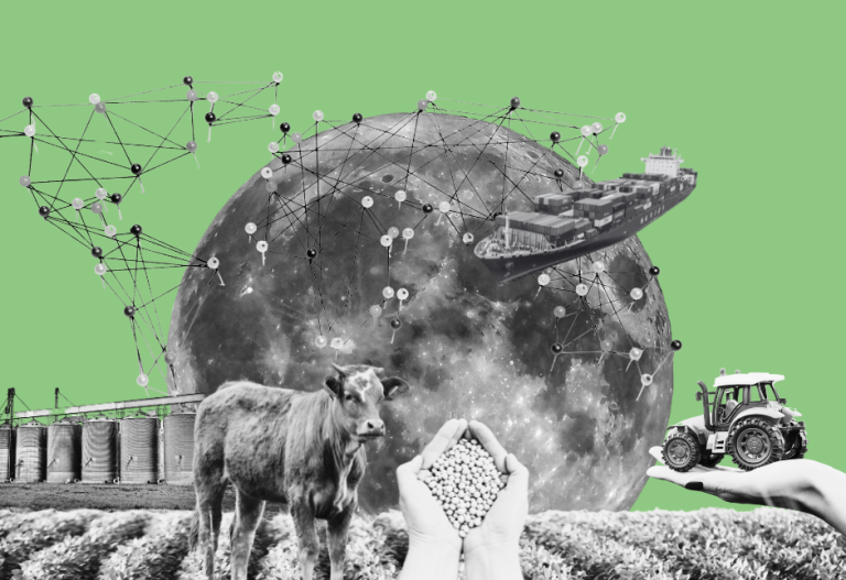 The Grassroots’ Perspective on Just and Sustainable Food Systems: Updates on our Participatory Policy Positioning Process