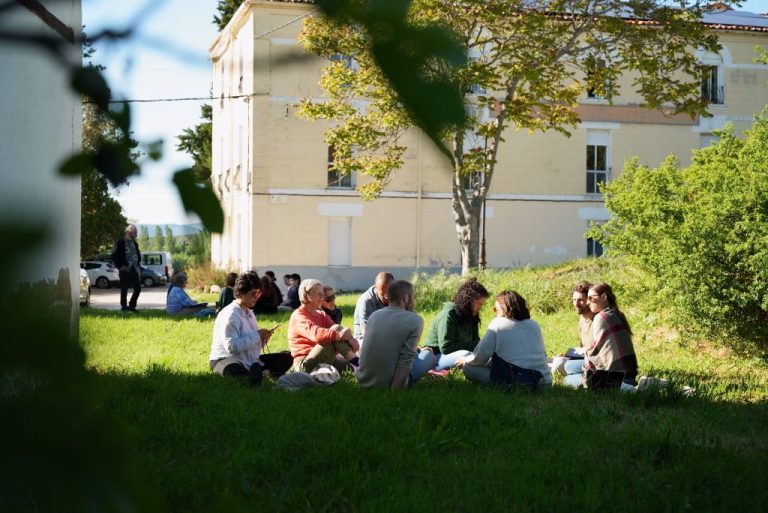 Building momentum for a mass climate mobilisation: reflections on a decade of ECOLISE