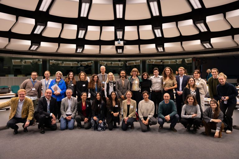 Visual Sensemaking: Making the European Green Deal Strong and Real – Harnessing the Power of community-led Initiatives and Local Governments