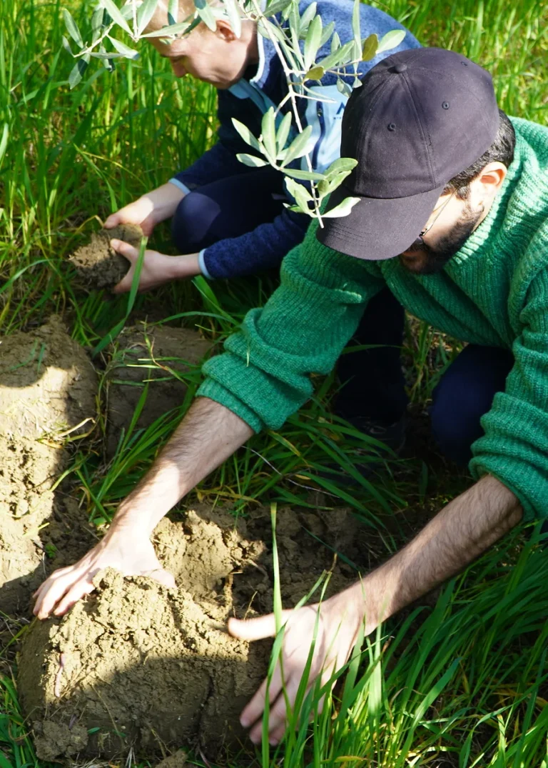 SOILSTICE